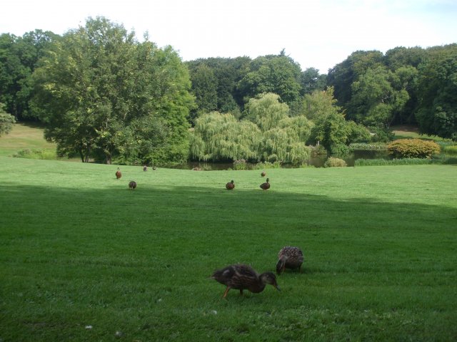 2013
